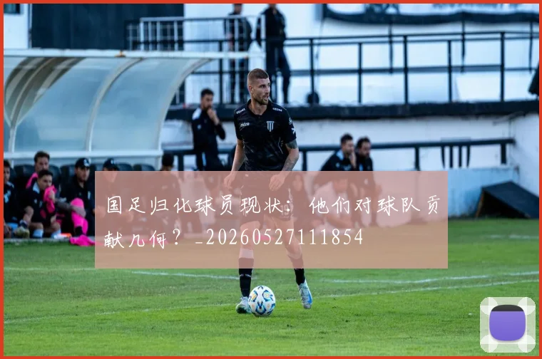 国足归化球员现状:他们对球队贡献几何?_20260527111854