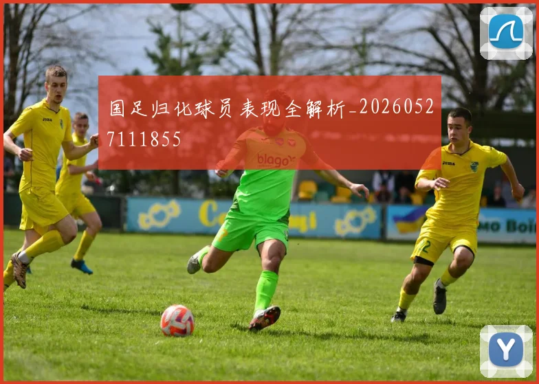 国足归化球员表现全解析_20260527111855